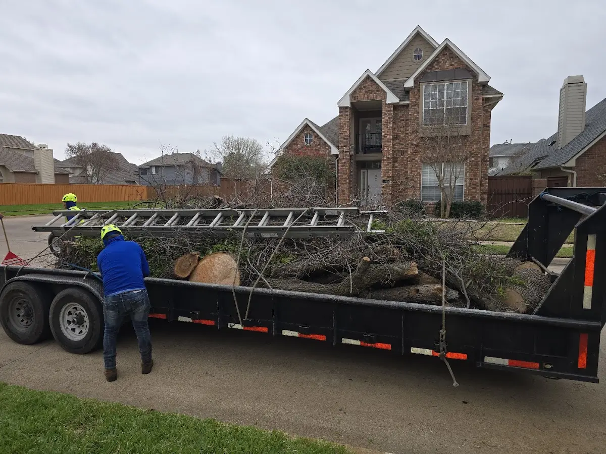 Expert Tree Fertilization with proper safety equipment in Sangerville